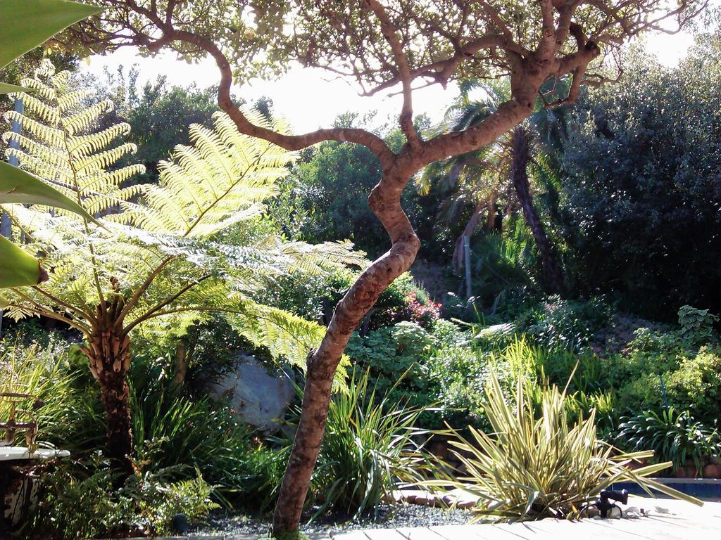 Hout Bay Hideaway Hotel Buitenkant foto