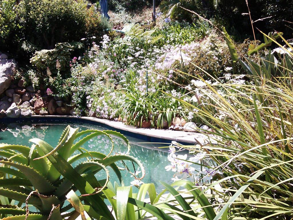Hout Bay Hideaway Hotel Buitenkant foto