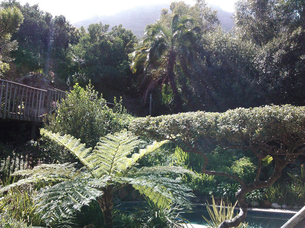Hout Bay Hideaway Hotel Kamer foto